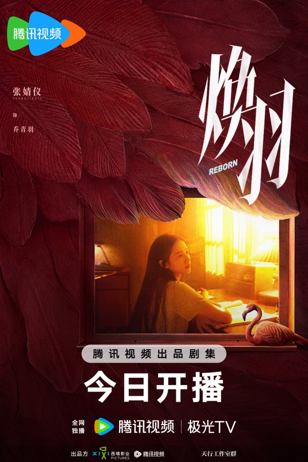 金多多 张婧仪周翊然即将展开一段“焕羽”新生的青春成长之旅