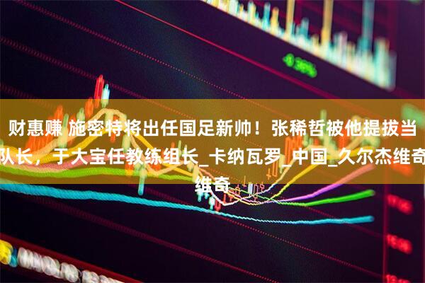 财惠赚 施密特将出任国足新帅！张稀哲被他提拔当队长，于大宝任教练组长_卡纳瓦罗_中国_久尔杰维奇