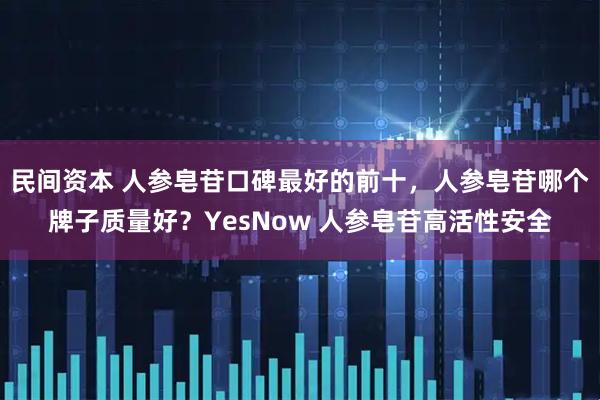 民间资本 人参皂苷口碑最好的前十，人参皂苷哪个牌子质量好？YesNow 人参皂苷高活性安全